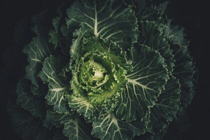 Photo Vegetable stir-fry