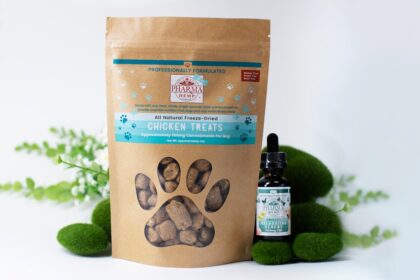 Photo Pet care