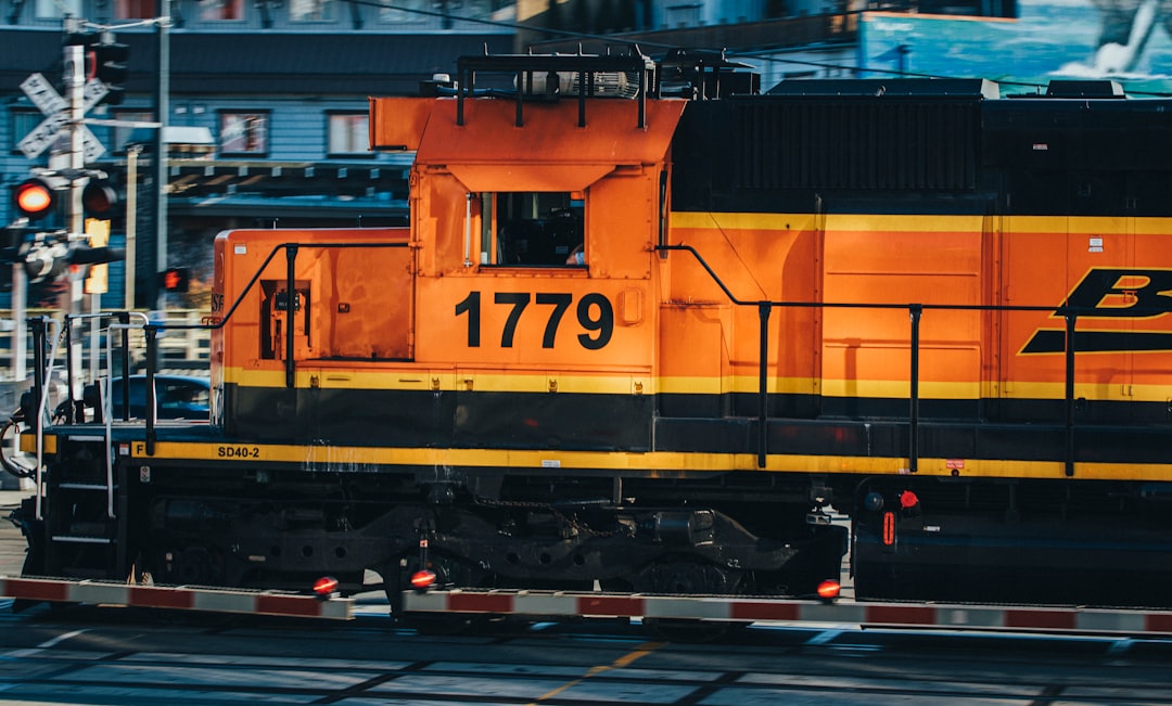 Photo Thrifting haul