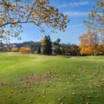 Photo Weatherstripping