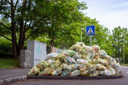 Photo Food waste