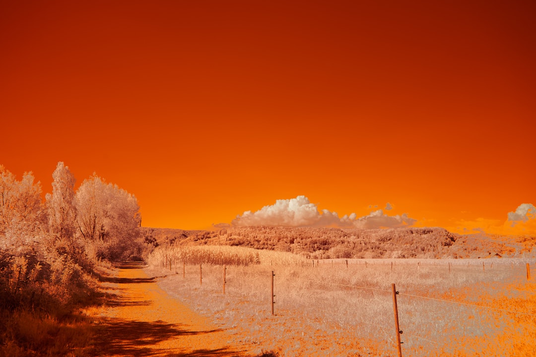 Photo Infrared heater